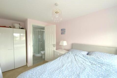resized_IMG_4569..jpg