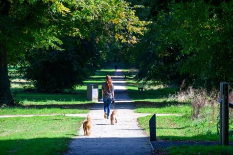 Country Park
