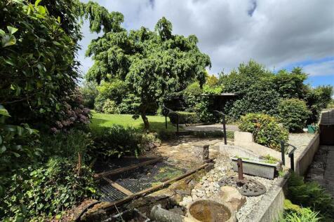 Rear garden (2).jpg
