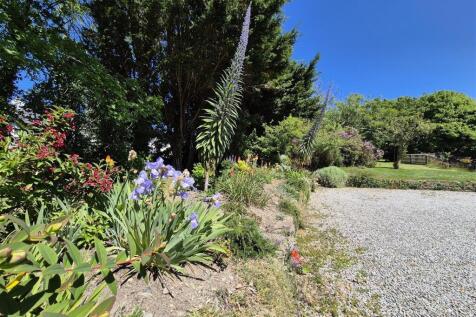 flower borders.jpg