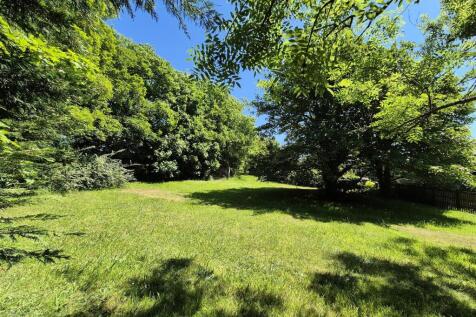 garden.jpg