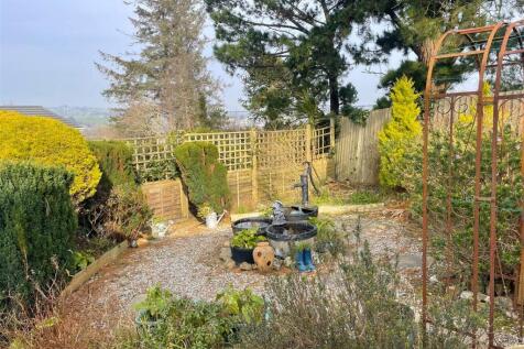 garden 8.jpg