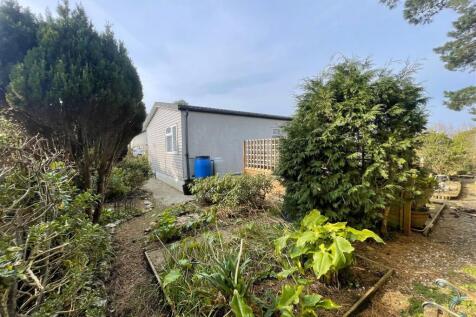 garden 6.jpg