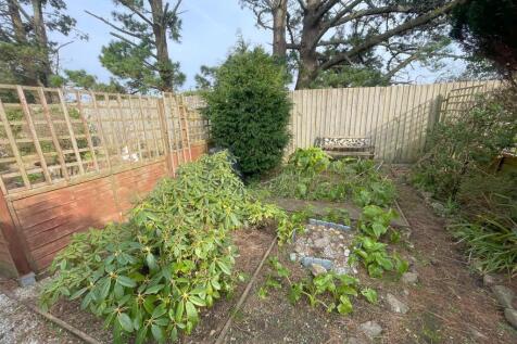 garden 5.jpg