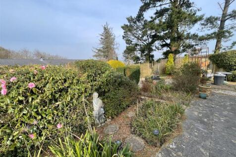 garden 9.jpg