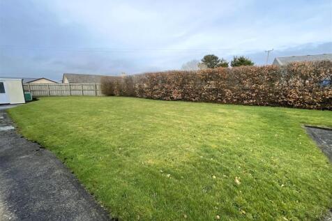 garden 3.jpg