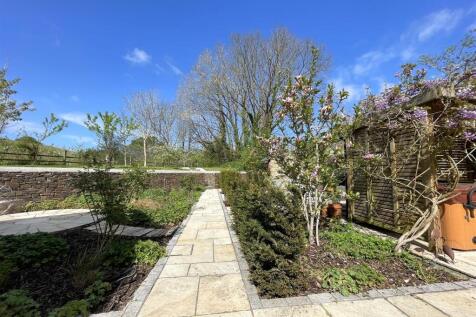 garden 3.jpeg