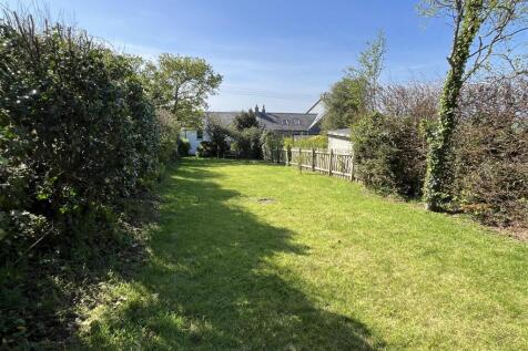 garden 3.JPG