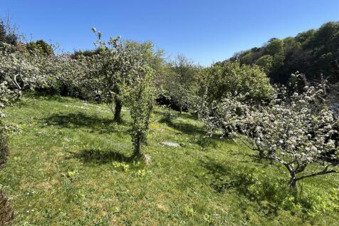 garden 3.JPG
