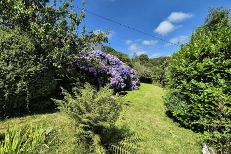 Sunny garden