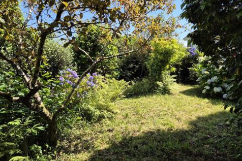 Front garden