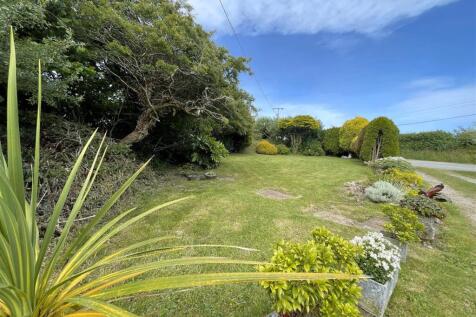 Garden 8.jpg