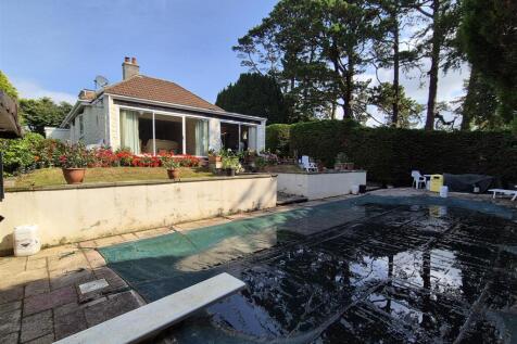 rear garden and pool.jpg