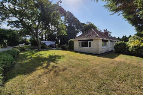 Front garden and garage.jpg