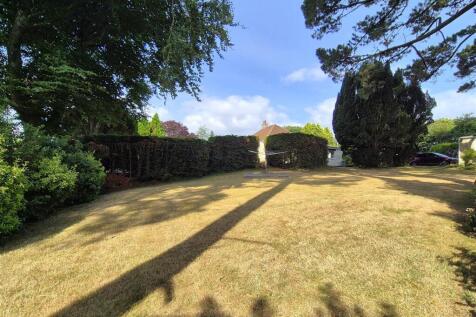 Side garden.jpg