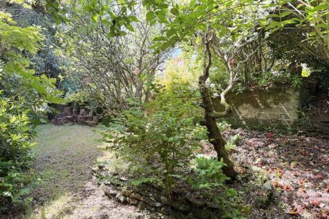 Lower Rear Garden