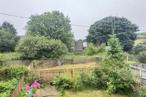 View From Kitchen