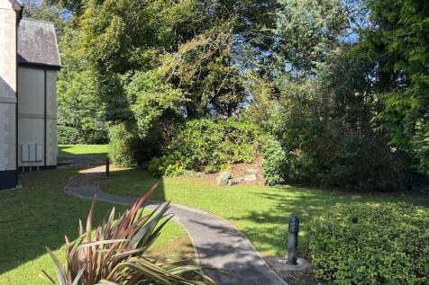 Communal Garden