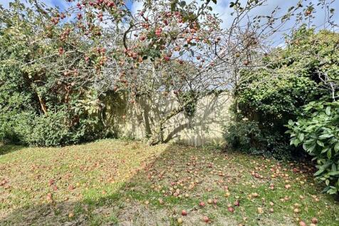 Left Side Orchard