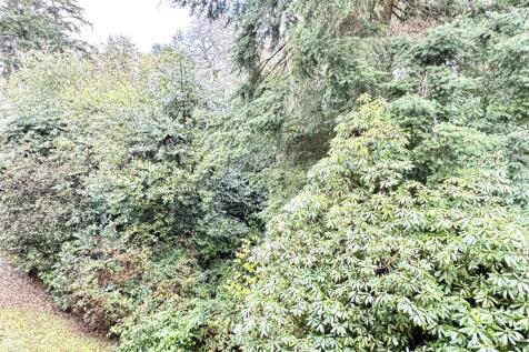 View From Bedroom One