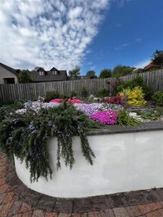 Front Garden 2