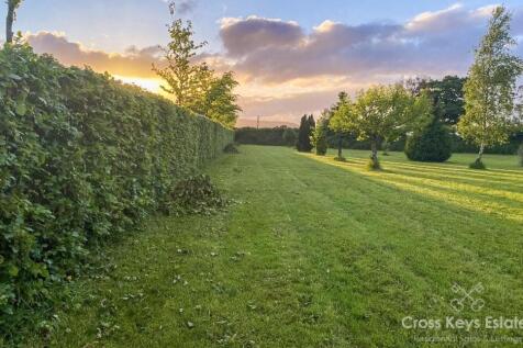 6-Pic 6 - Garden.jpg