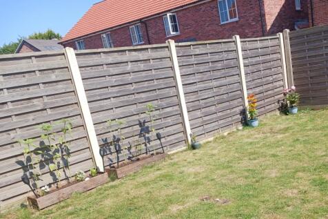 garden1