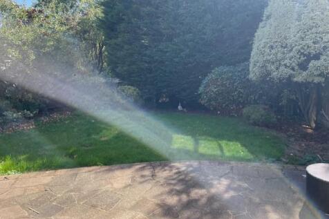 Garden 1.jpg