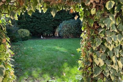 Garden.jpg