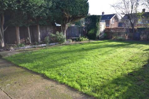 5 Bradbury garden.JPG