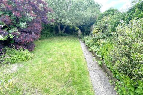 garden 2.jpg