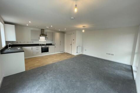 Kitchen / Livng Area