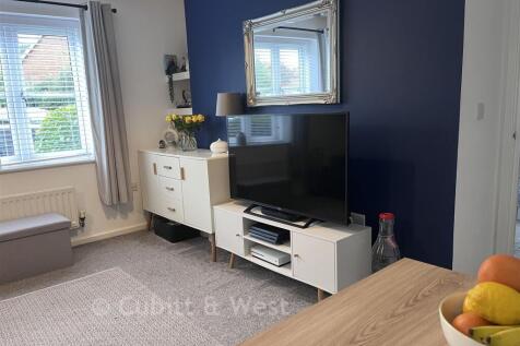 TV Area