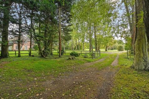 Property Image 38