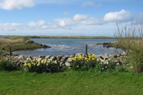 Sea view and flowers.JPG
