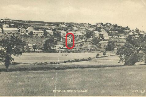Picture No. 15