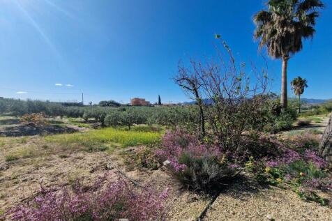 Property Image 8