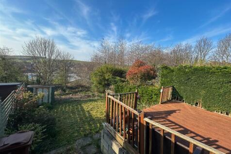 Back Garden