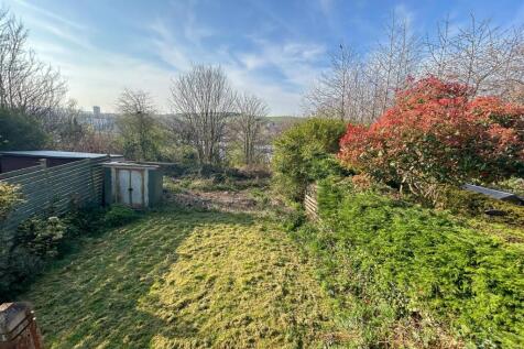 Back Garden