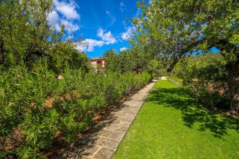Property Image 44