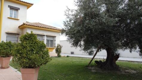 Property Image 51