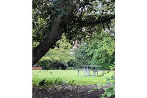 Shared garden 2