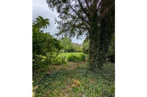 Shared garden 3