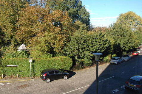 Street View (1).JPG