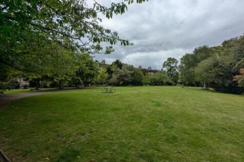 Shared garden inside 3