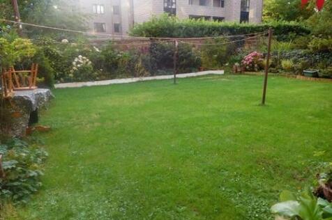 garden b.JPG