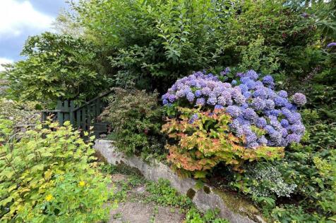 Garden 4.jpg
