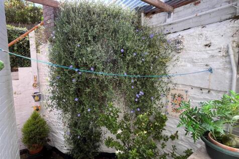 Rear Courtyard.jpg