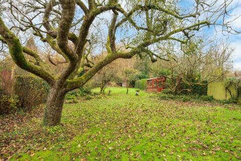 Generous rear garden
