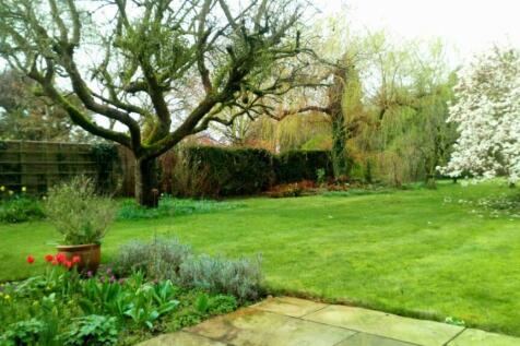 Springtime garden